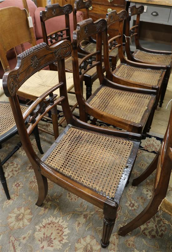 A set of 6 Regency rosewood cane seated dining chairs